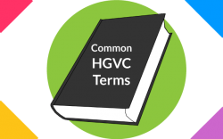Common HGVC terms