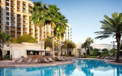Las-Palmera-by-Hilton-Grand-Vacations-Club-Timeshare-Resale-Platinum-Points-300x300