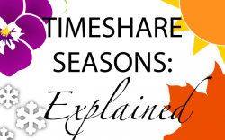 timeshare-seasons-explained